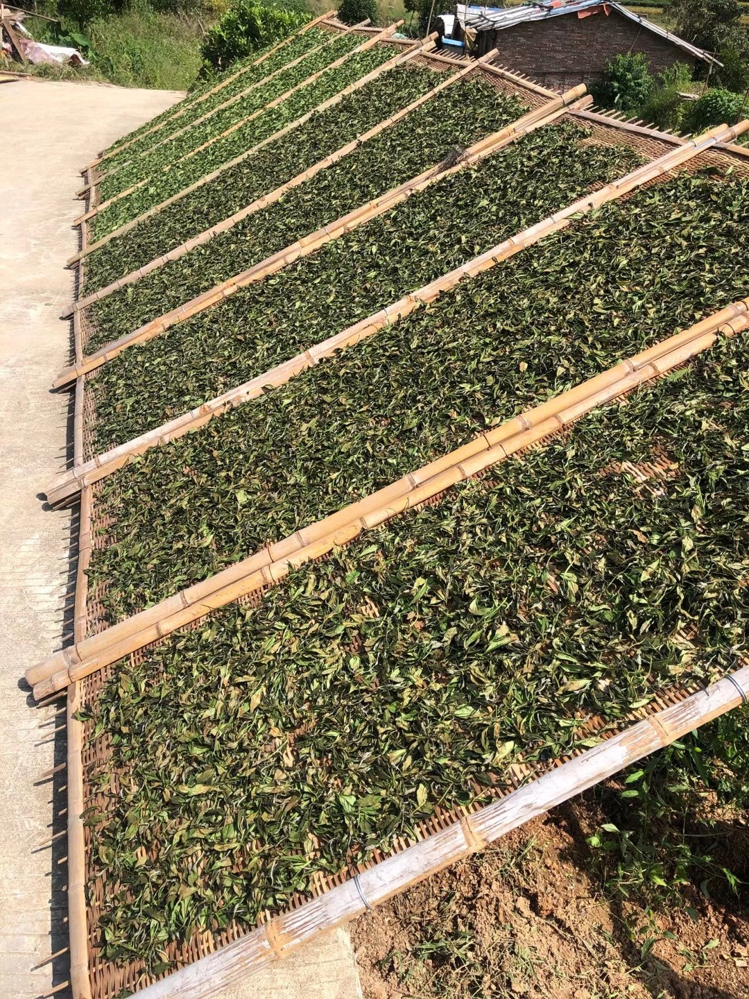 福鼎白茶源头磻溪产区茶厂店