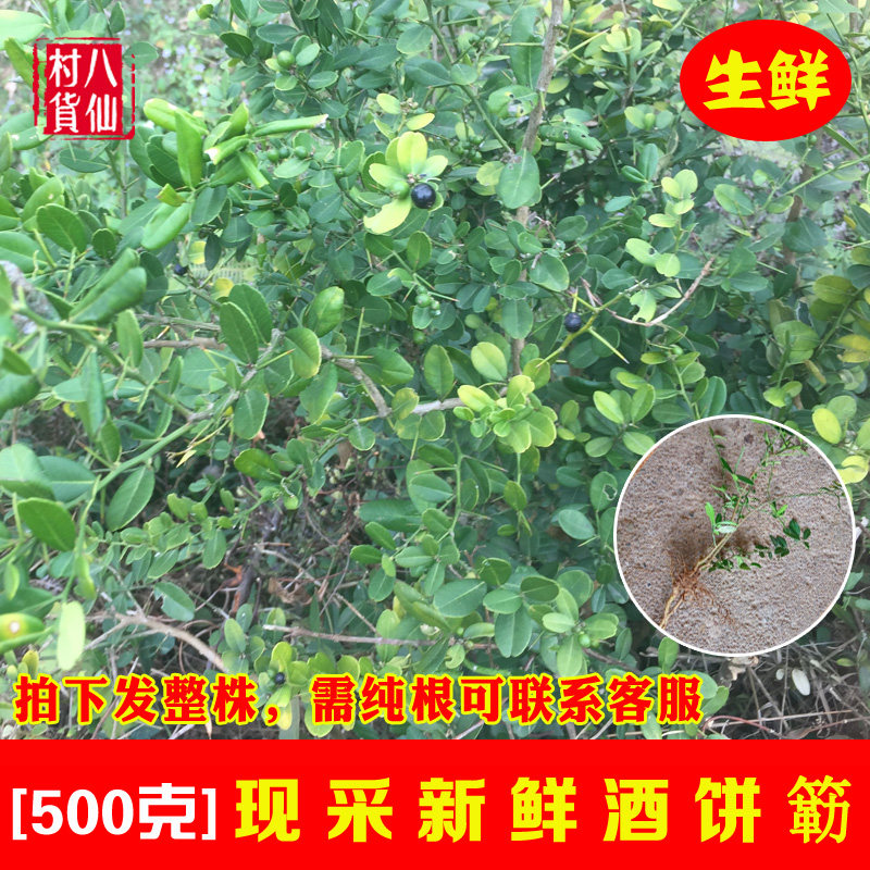 Fresh wine cake powder Dongfeng Orange Dongfeng Orange Donghai Orange Donghai Orange Orange Donghai herbal herbal