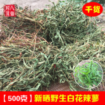 Wild spicy grass fresh spicy Liao Chinese herbal medicine white flower spicy Polygonum Spicy Horse Polygonum pepper grass wine material