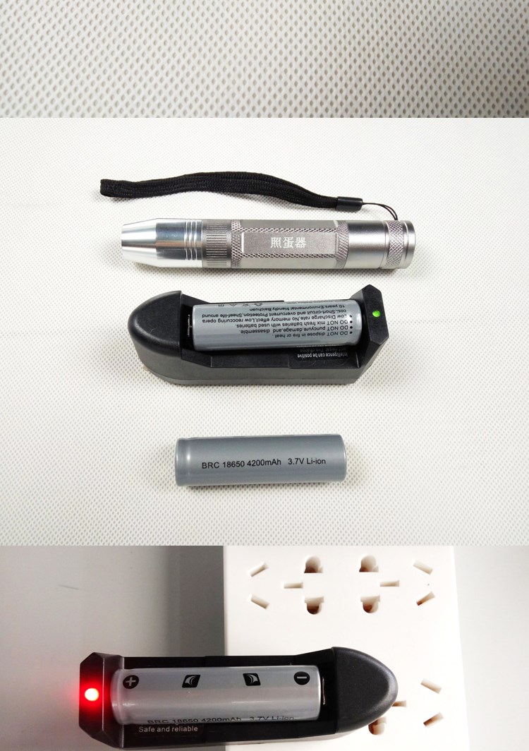 Trứng ánh sáng đặc biệt led lạnh gà lôi vịt ngỗng bồ câu rùa chói sạc công cụ kiểm tra đèn pin - Thiết bị & dụng cụ