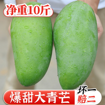 Explosion of sweet green mango fresh 10 kg first class Vietnam imported tropical fruit blue skin gold huang whole box of seasonal fruit