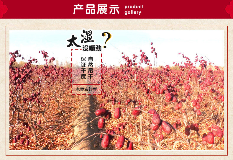 老枣农新疆特产大枣特级阿克苏红枣灰枣子50
