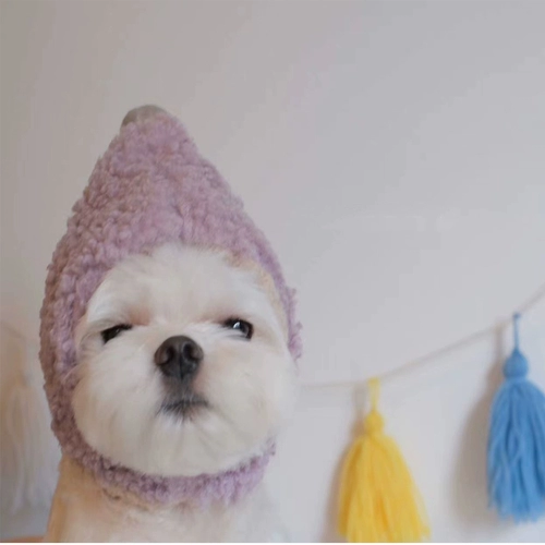 Шляпа для любимой собаки