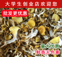 500g Yunnan chicken oil fungus dry goods Golden Mushroom Elm Mushroom mushroom mushrooms Yunnan native specialties wild yellow silk fungus