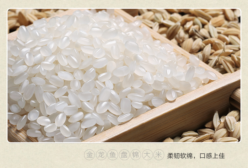 金龙鱼盘锦大米5KG东北米蟹稻共生10斤大米米饭原味稻香