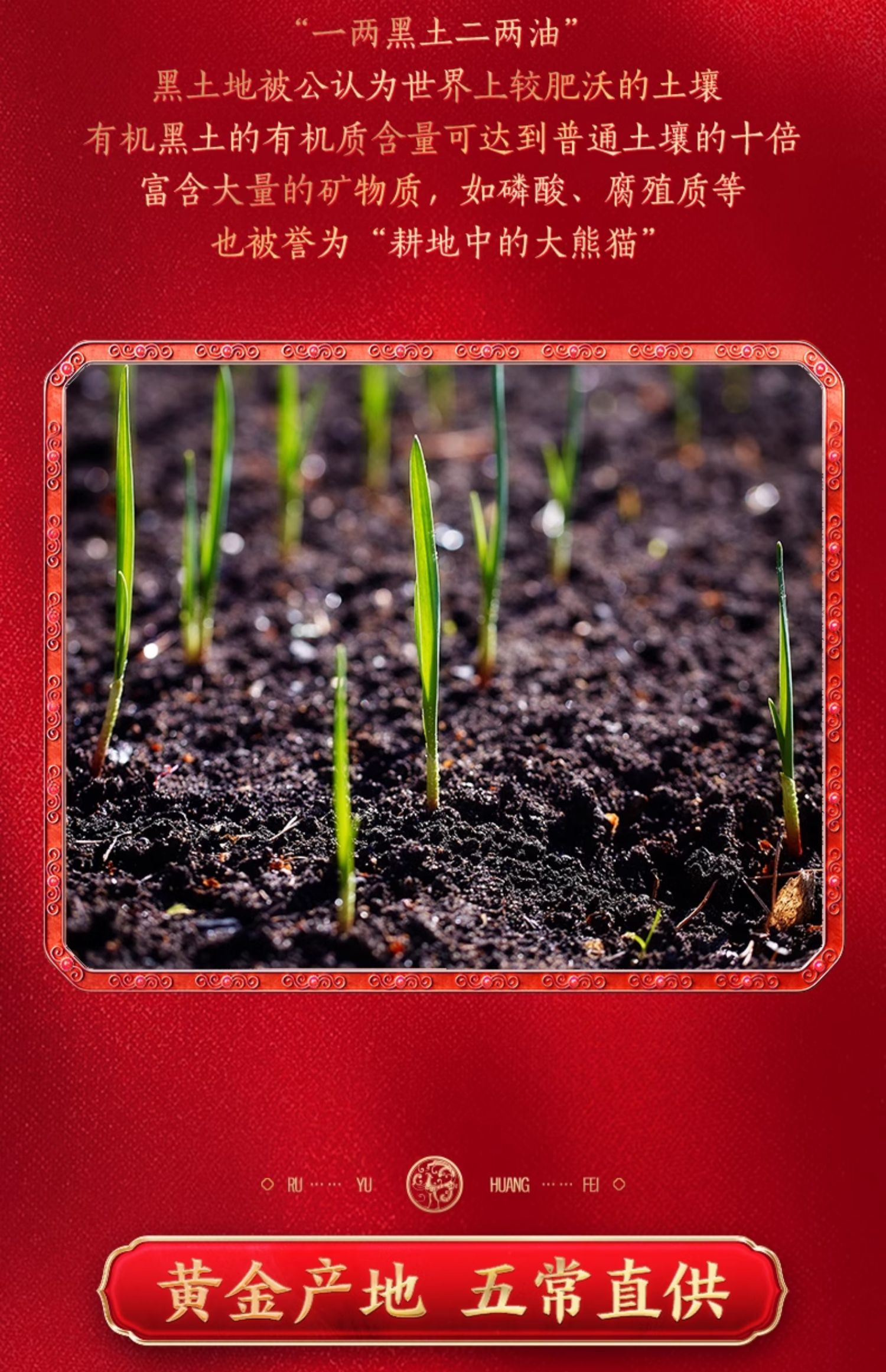 安享好物 安享S级粳米-金龙鱼乳玉皇妃 有机稻花香 国标