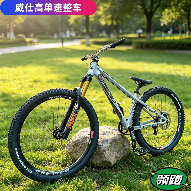 Wissco Dirt Bike Am Mountain Bike Single Speed Wissco Complete Bike 26inch 27.5inch