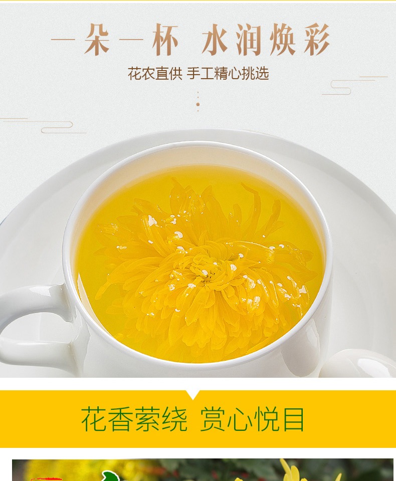 【金丝皇菊】疏风清热解毒罐装