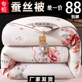 Thickened silk quilt winter quilt special price quilt winter quilt core