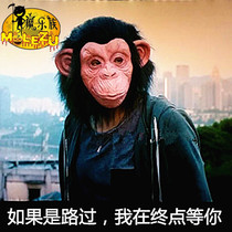 Animal Mask Full Face Green Head Fish Head Set Tiger Mantou Gorilla Headgear To Blame Funny COS Sand Sculpture Shake