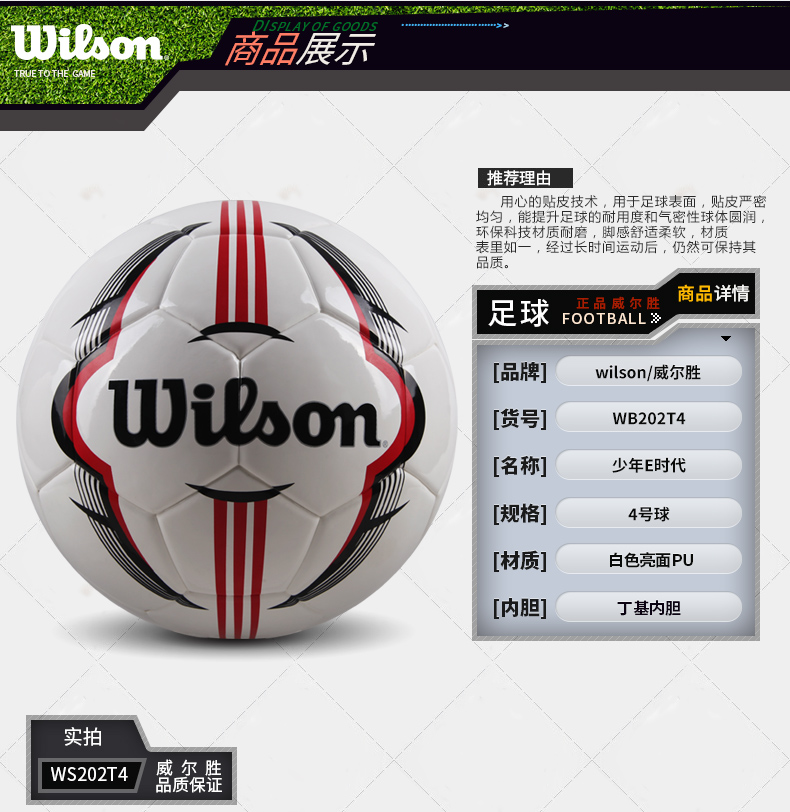 Ballon de foot - Ref 7126 Image 7