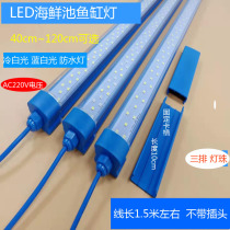 Fish tank lamp led light bar lighting aquarium crab seafood pond LED energy saving blue white light 220V40 ~ 150cm