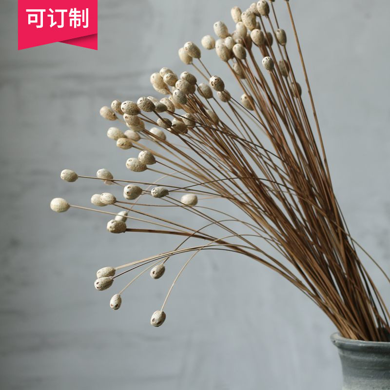 (Bamboo Branches Fruits) Bar Clubhouse Interior Decoration Soft Clothing Accessories Craft Dry Flower Dried Fruits Filming Props Simulation Flowers-Taobao