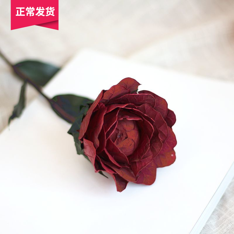 (Mountain tree) Chinese rose handmade plant dry flower living room flower arrangement rose dry flower home furnishings decoration shooting props