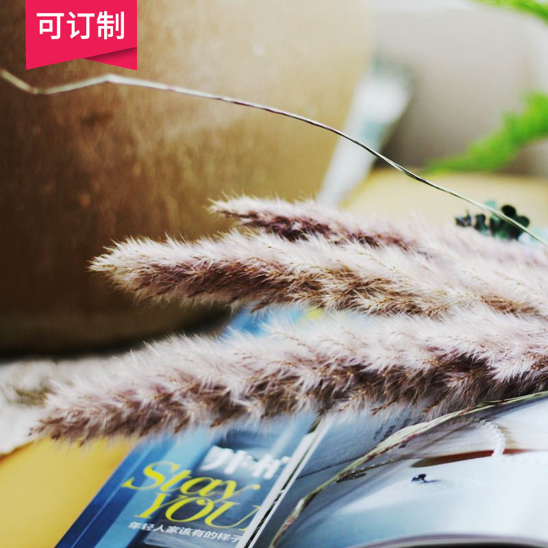 (Mountain Trees) Natural reed dried flowers pureed ins home decoration shooting props mesh red pureed reed dried flower-Taobao