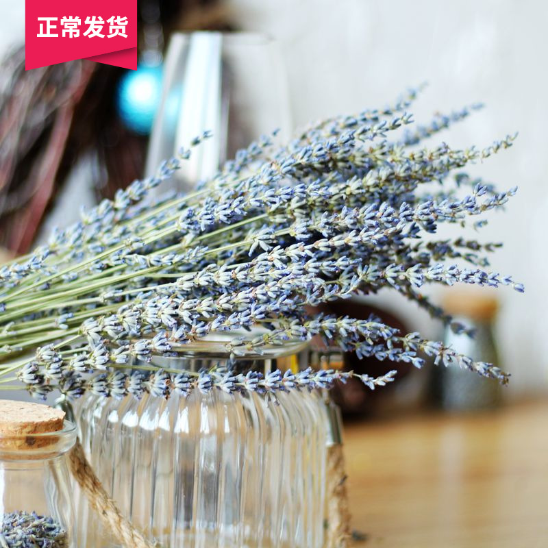 Xinjiang Natural Lavender Grass Real Dry Flowers Bouquet Home Living Room Decoration Plant Evergreen Flowers Real Flowers Lavender