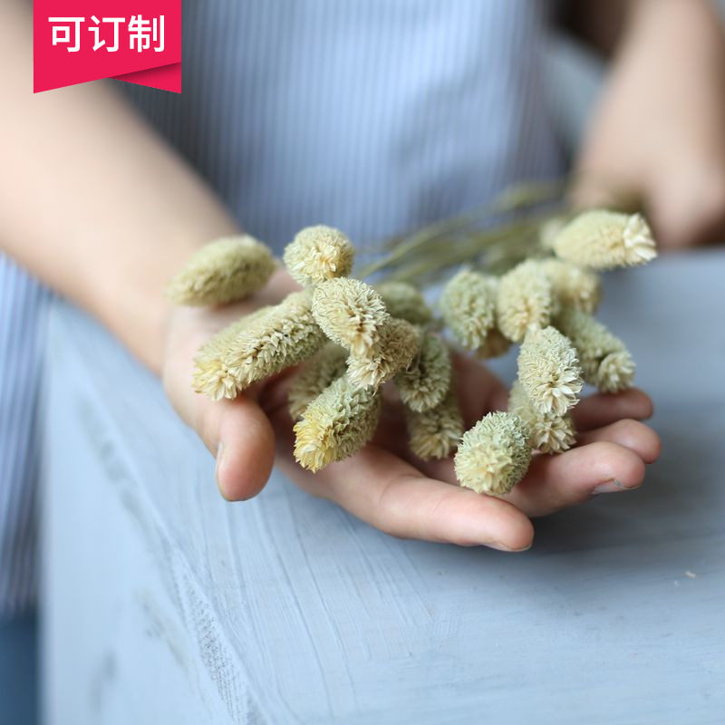 (Gem Grass) Natural air-dried beauty grass home decoration art dried flower arrangement real flower hay shooting props