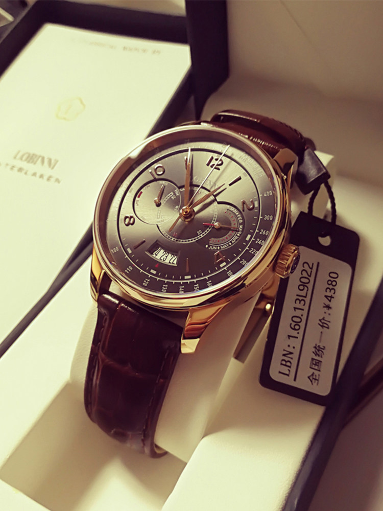 Robini Brand Multifunction Watch Men's Automatic Mechanical Watch Men's Belt Waterproof Large Dial Watch