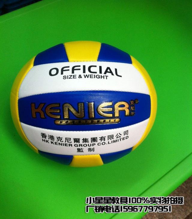 Ballon de volley - Ref 2016661 Image 4