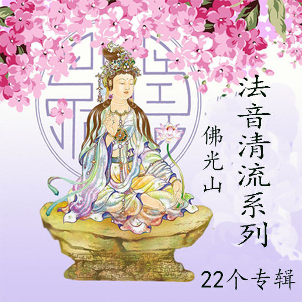 Foglight Mountain Van Gogh Law Sonic Clear Streaming Series 22 Album Ape Web Trays