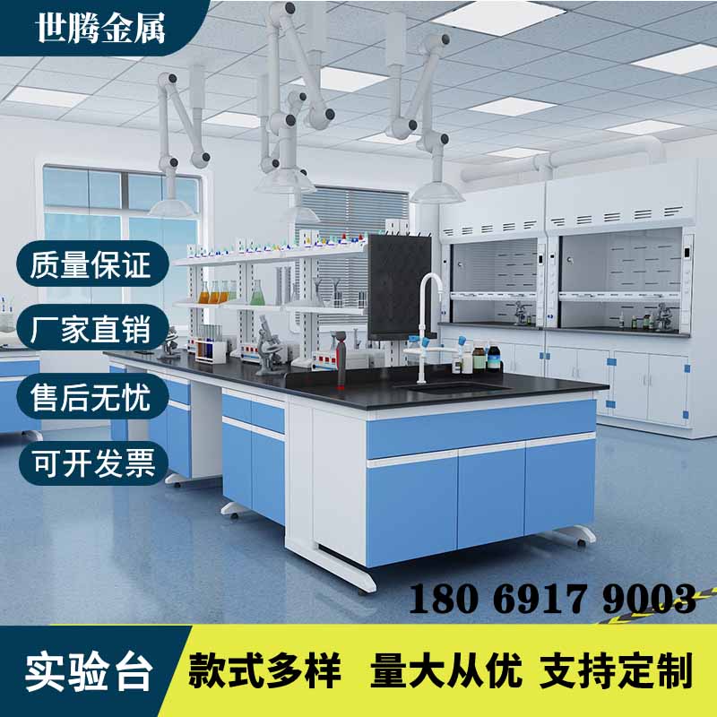 Laboratory Bench Steel Wood Experimental Bench Pp Full Steel Operating Table Test Room Central Sink Experimental Table Ventilation Closet