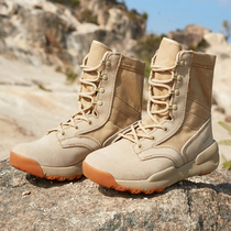 High-top desert boots 2024 new tactical boots for men and women outdoor shoes land combat boots hiking shoes hiking shoes combat training boots