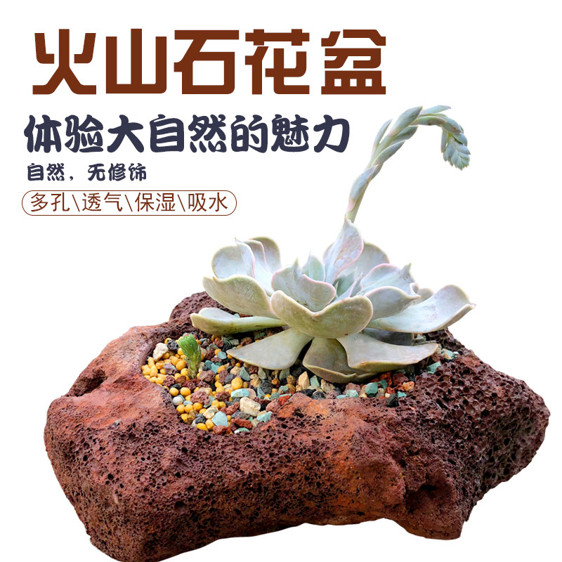 Volcanic rock pot simple meat plant large calibre flower basin custom volcanic stone pure hand-made