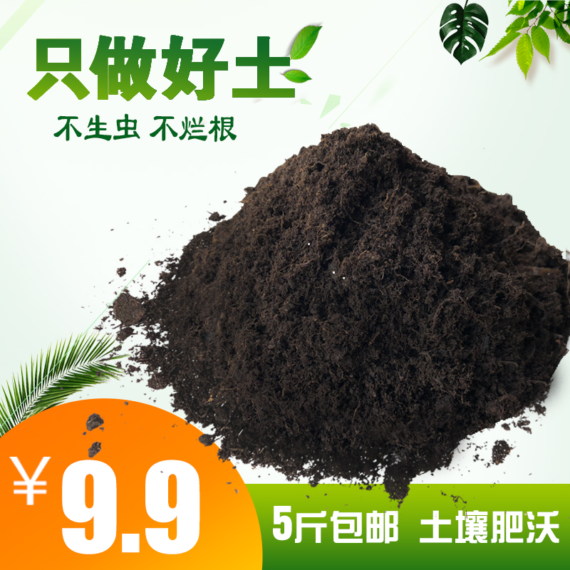 Peat soil peat soil fleshy golden kudzu green planting flower general soil potting vegetable organic fertilizer planting soil nutrient soil