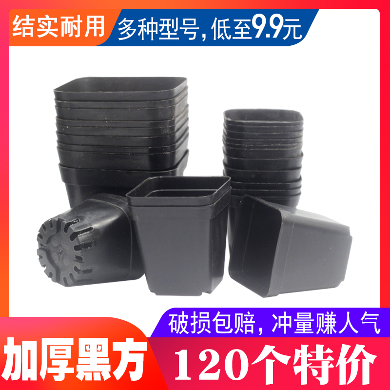 Hundred soil set small black square thick succulent pot plastic flower cuttings seedling leaf cuttings planting square large black square