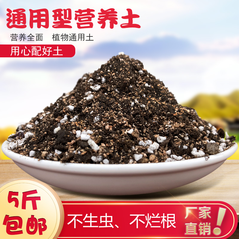 Nutritional Soil Cultivation Earth Universal Multimeat Broccoli Earth Special Nutraceutical Turquoi Turquoi Green Plant Cultivation Soil 
