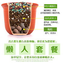 Nutrient soil planting soil universal combination set succulent orchid ceramsite granular soil special flower fertilizer soil