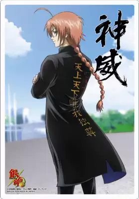 銀魂神威3z 立領風衣虎紋外套cosplay服裝