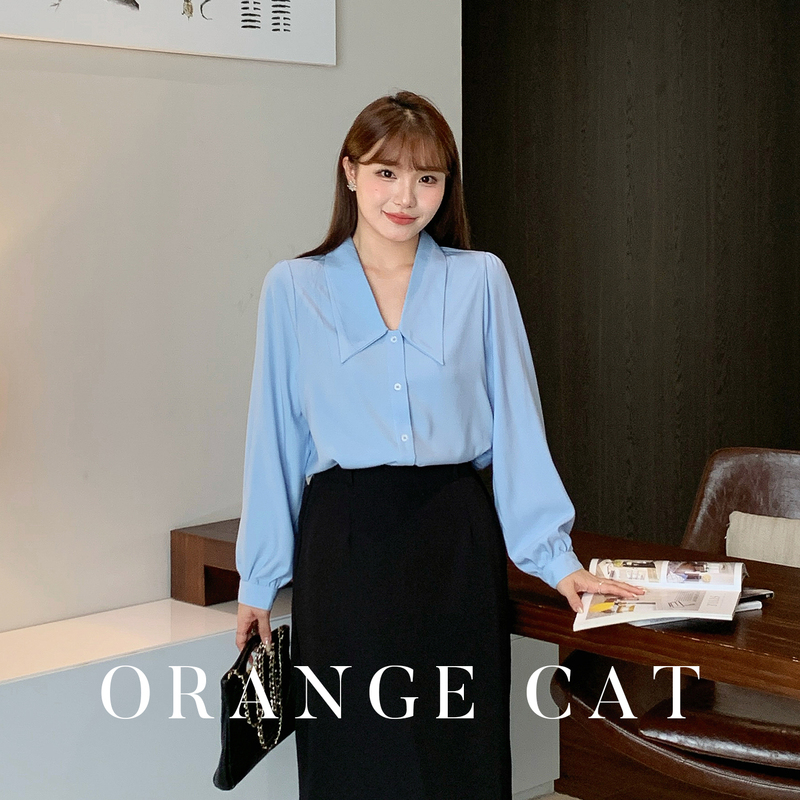 Little Orange Is a Plus-Size Cat-Loving Woman in a Professional V-Neck Blue Long-Sleeved Shirt for a Teacher or Civil Servant Interview