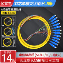 12-core single-mode bundle pigtail SCC FC LC ST Square head bundle 12-core single-mode fiber jumper telecom class