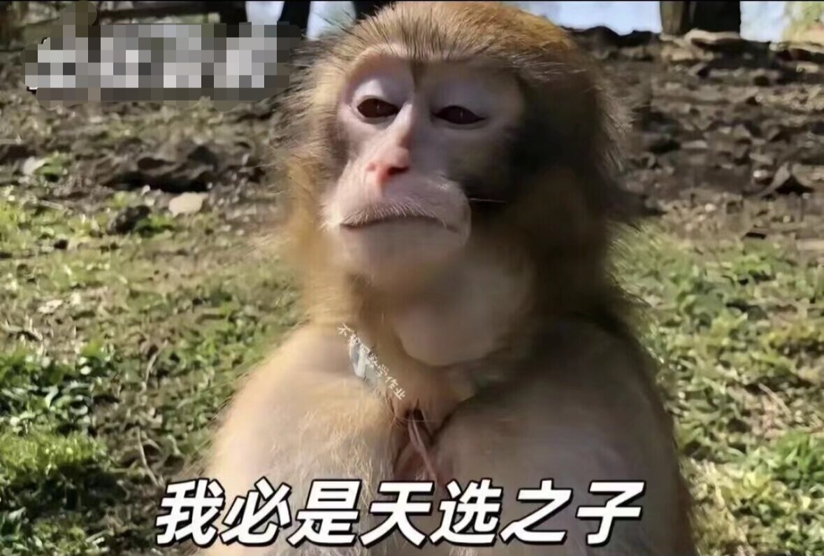 顺德养车汽配正品商贸部