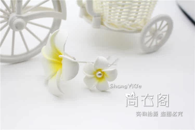 Accessoire cheveux en autre - Ref 1199797 Image 45