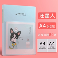 40 страниц зеленых (положительных и отрицательных 80 страниц) Ван Синьерен