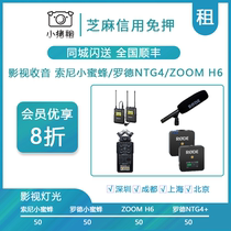 Rent a small bee Sony D11 Rhode Ntg4 recording wireless microphone interview microphone rental free