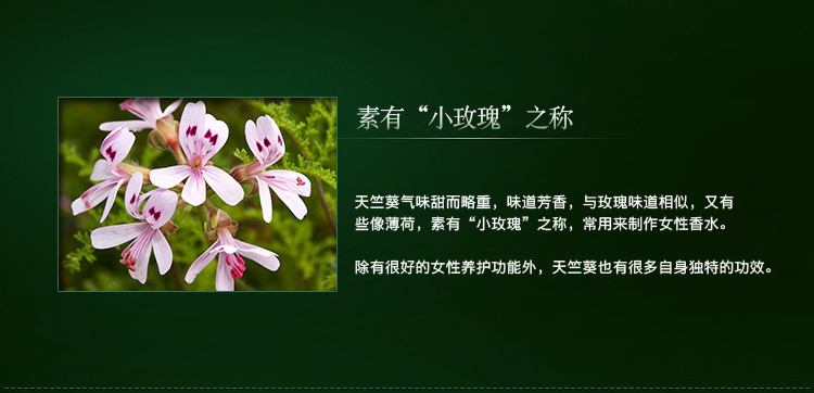 Tinh dầu Dixiang / Thelxinoe Geranium Essential Oil 10ml Chăm sóc tóc đơn phương Chăm sóc tóc Dầu thơm Dầu thơm chính hãng - Tinh dầu điều trị tinh dầu bưởi rừng
