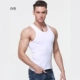 Nam Cực đỏ vest nam vest nam vest cotton nam thanh niên Slim đáy áo sơ mi lợn năm áo thun ba lỗ nữ thể thao