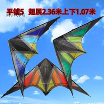 New Junlong stunt double line kite flat 5 loud when flying