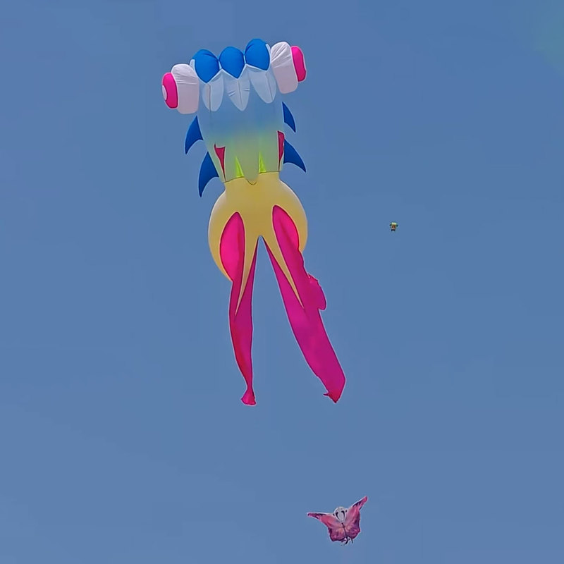 Authentic New Ma Laosi Kite Nylon Umbrella Fabric Soft Goldfish Kite Wind Resistant