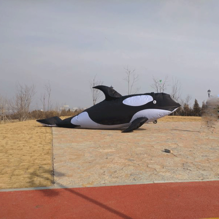 Large Animal Software Kite Dolphin Pendant Kite 10 m Dolphin Kite