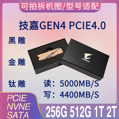 Gigabyte AORUS Black Carving Gold Gen4 Titanium Carving 7000s SSD1T 2TB NVME Твердотельный накопитель SSD PS5