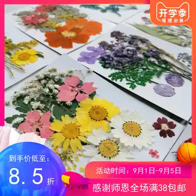 Flower material package dried flower package embossed flower package Children's handmade plant specimens diy epoxy embossed flower embossed sticker petal makeup