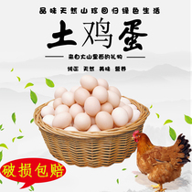 Authentic rural home Wild alpine free-range loose chicken soil eggs fresh high nutritional value Natural and pollution-free