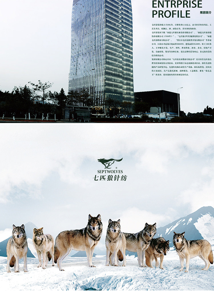 Chaussettes - collants SEPTWOLVES - Ref 766089 Image 21