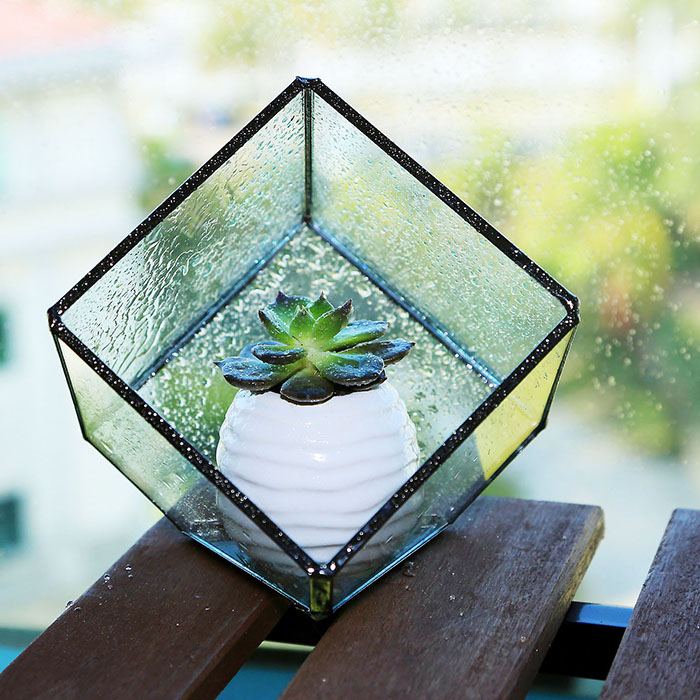 Home Leery Square Tea Geometric Glass Flower House Multi-Meat Plant Glass Flower Pots Micro Landscape Florist Stars Xu Willing Bottle Hem