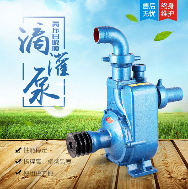 Xun Self-suction Home Drag Pump High Lift Large Flow Self Suction Water Pump Agricultural Centrifugal Pump Agricultural Centrifugal Pump Farmland Irrigation