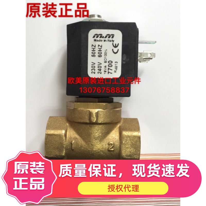 意大利mmD265水电磁阀高温DDVU用排止回阀螺纹止逆阀烟止逆阀机